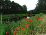 Kanaal Almelo Nordhorn